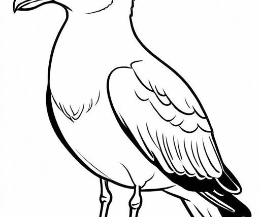 Seagull Coloring Page 1 for Kids