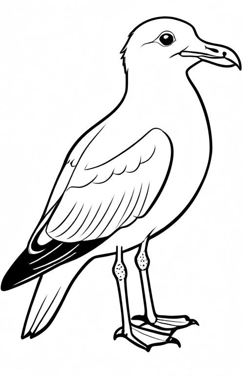 Seagull Coloring Page 19 for Kids