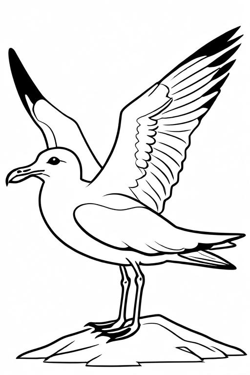 Seagull Coloring Page 31 for Kids