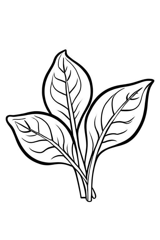 Spinach Coloring Page 1 for Kids