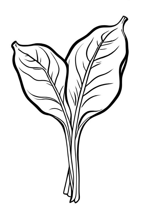 Spinach Coloring Page 2 for Kids