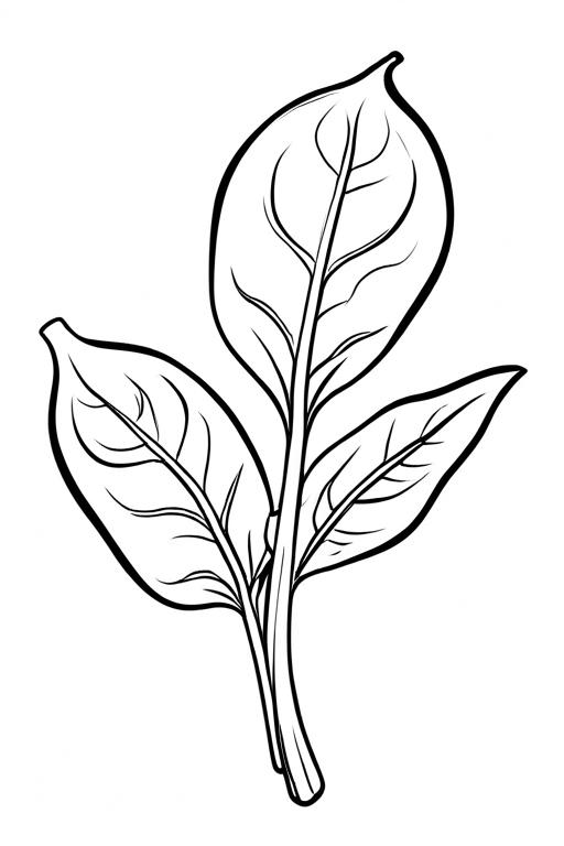 Spinach Coloring Page 3 for Kids