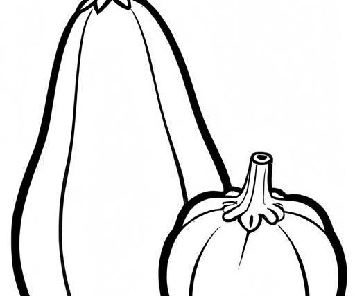 Squash Coloring Page 1 for Kids