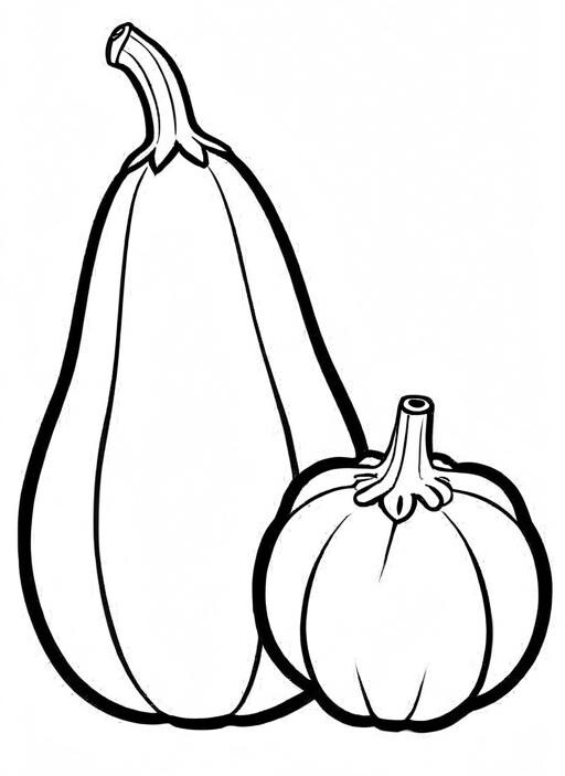 Squash Coloring Page 1 for Kids