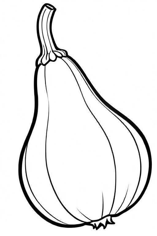 Squash Coloring Page 20 for Kids