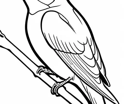 Swallow Coloring Page 1 for Kids