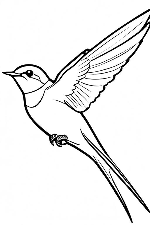 Swallow Coloring Page 35 for Kids