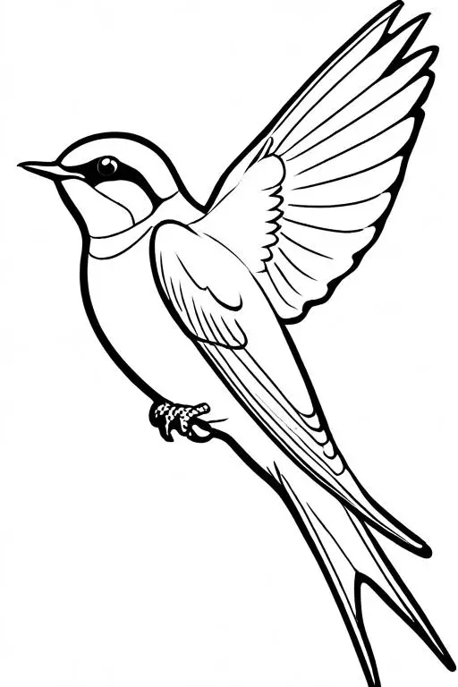 Swallow Coloring Page 38 for Kids