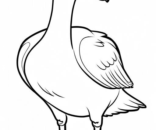 Swan Coloring Page 1 for Kids