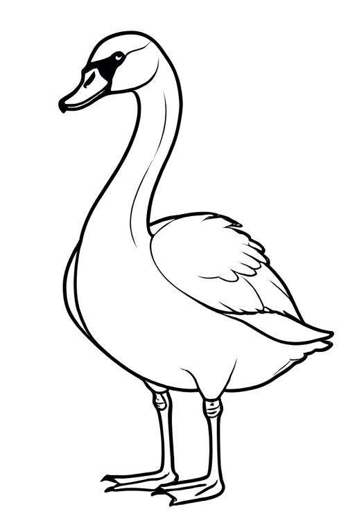 Swan Coloring Page 17 for Kids