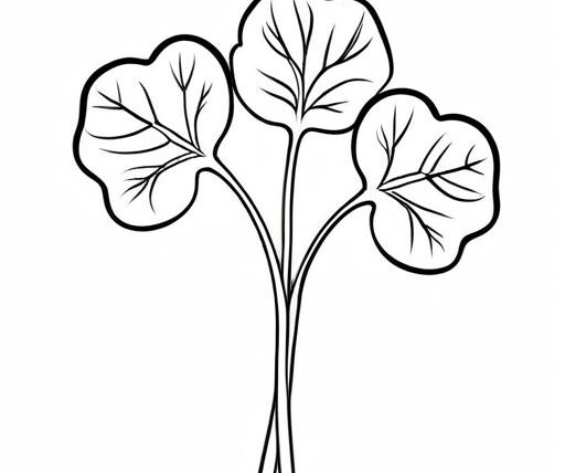 Watercress Coloring Page 1 for Kids