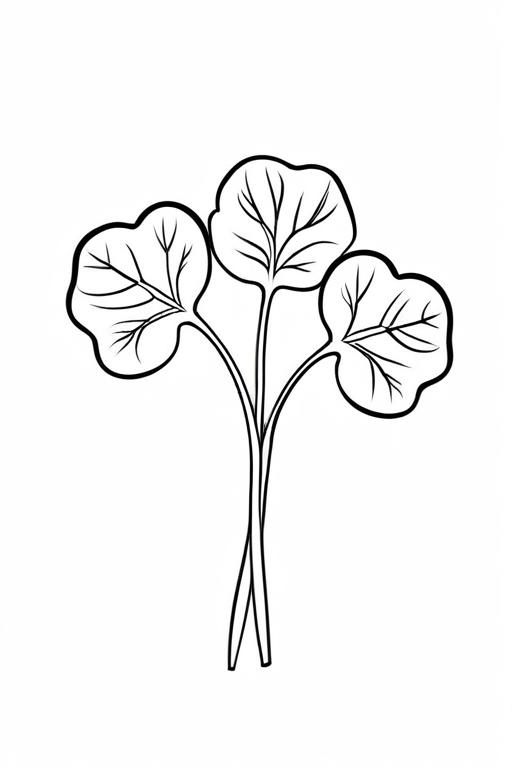 Watercress Coloring Page 1 for Kids