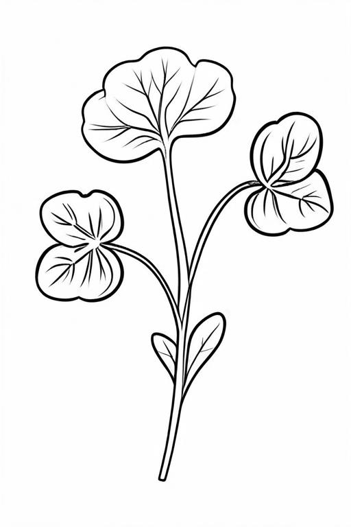 Watercress Coloring Page 5 for Kids