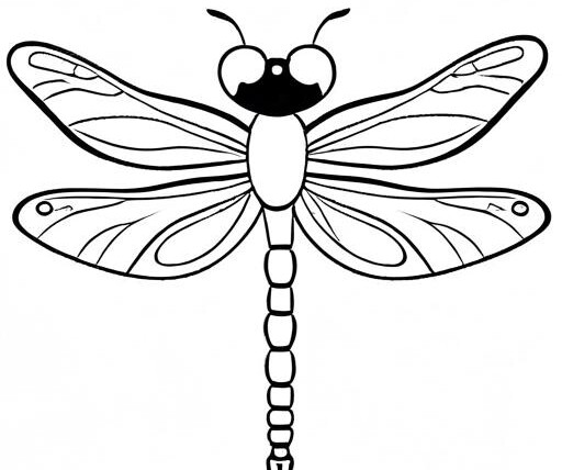 Dragonfly Coloring Page 1 for Kids